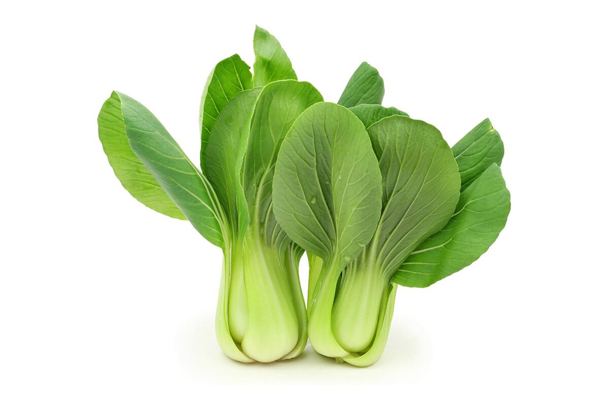 Shanghai Pak choy